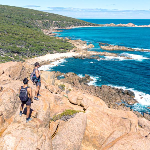 This image showcases two hikers standing on a rocky cliff, looking out over the ocean. The rugged coastline is surrounded by dense green vegetation, and the clear blue waters below make for a breathtaking view. The hikers appear to be enjoying the natural beauty and sense of adventure.