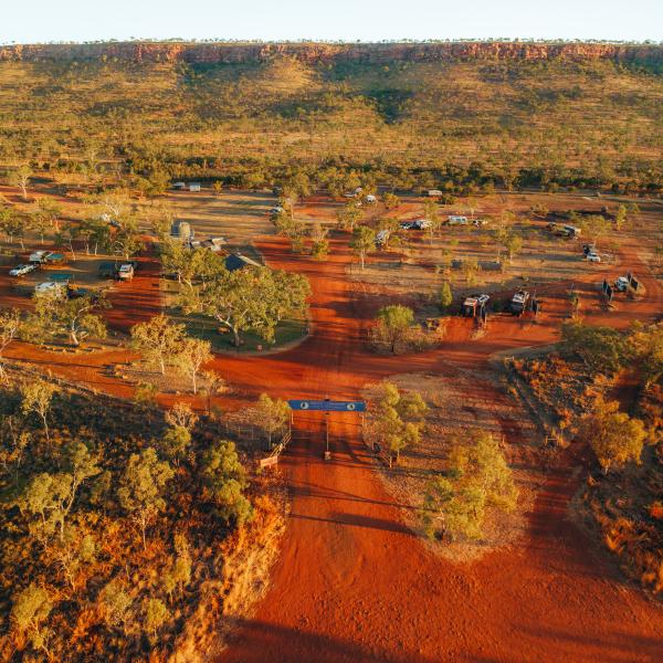 red dirt road surrounding by bushes